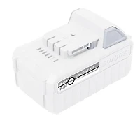 Snow Joe Batterie au lithium-ion de 5,0 Ah et 24 V