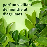 HERBAL ESSENCES - REVITALISANT PURIFIANT AU THEIER 1L