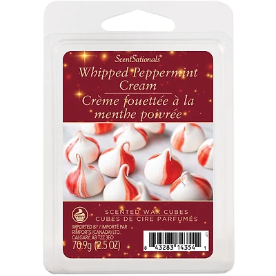 Cubes de cire parfumée Paquet économique ScentSationals - Crème fouettée à la menthe poivrée.