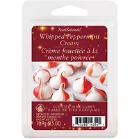 Cubes de cire parfumée Paquet économique ScentSationals - Crème fouettée à la menthe poivrée.