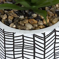 hometrends Gwinnett Faux Succulent in Chevron Pot