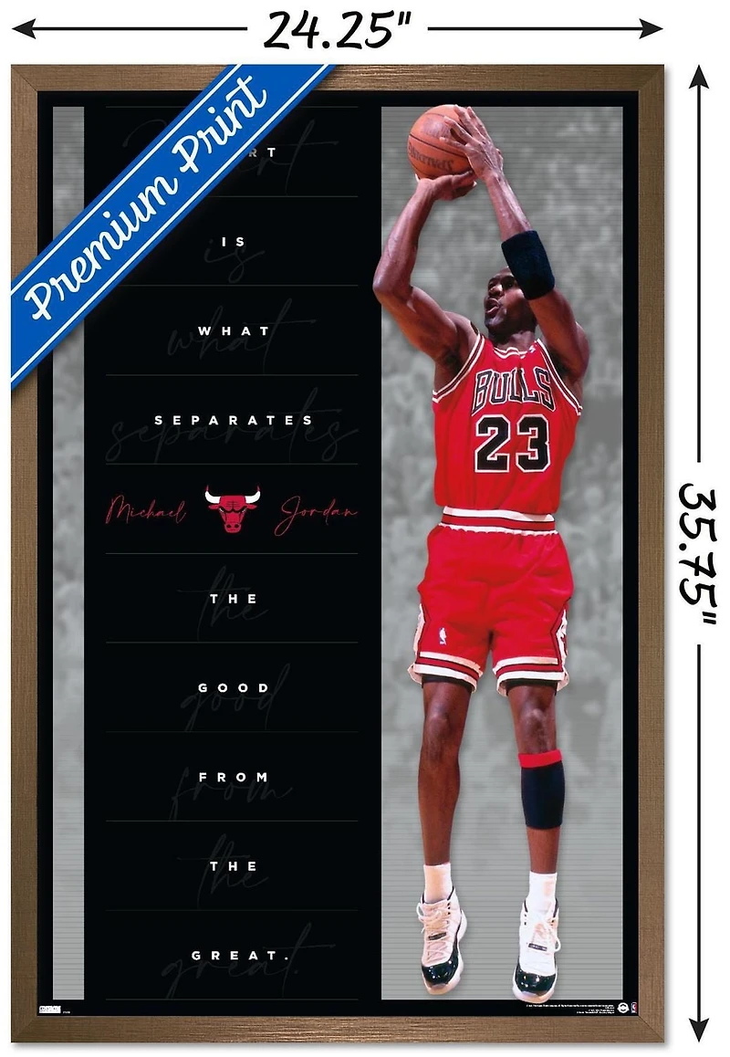 Michael Jordan - Heart Wall Poster, 22.375" x 34"