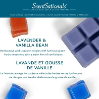 ScentSationals Scented Wax Cubes Value Pack - Lavender & Vanilla Bean