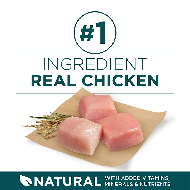 Purina ONE SmartBlend Formule pour Chiots de Grandes Races Poulet, Nourriture Sèche pour Chiens 7 kg 14 kg