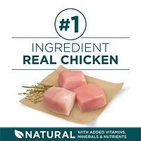 Purina ONE SmartBlend Formule pour Chiots de Grandes Races Poulet, Nourriture Sèche pour Chiens 7 kg 14 kg