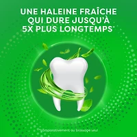 Rince-bouche Crest Scope Outlast, Menthe fraîche