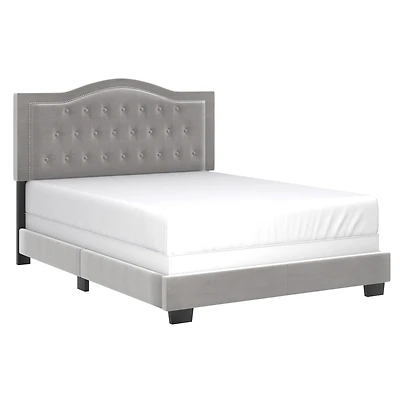 Grand lit moderne de 60 po revêtu de velours, gris pâle
