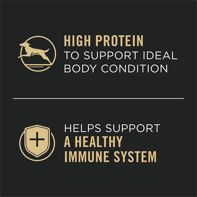 Purina Pro Plan Complete Essentials Turkey & Vegetables Entrée Slices in Gravy, Wet Dog Food 368 g