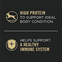 Purina Pro Plan Complete Essentials Turkey & Vegetables Entrée Slices in Gravy, Wet Dog Food 368 g