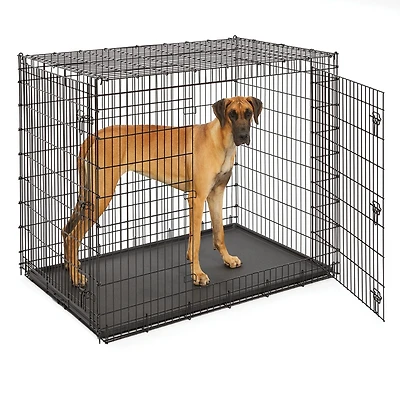 MIDWEST Solutions  cage pour chien double portes tt-grande 54po