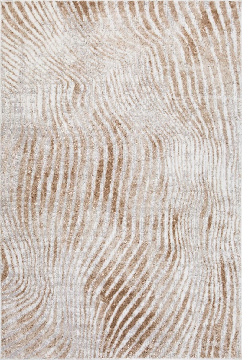 Aiden  8x11 Tapis de zone