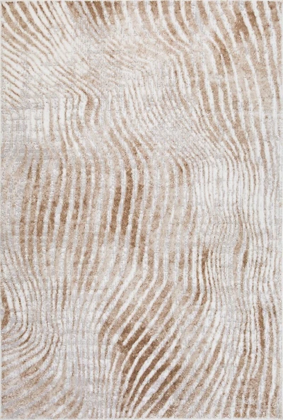 Aiden  8x11 Tapis de zone