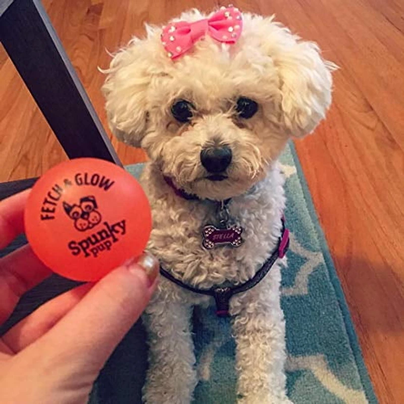 Fetch & Glow Ball Petit paquet de 2 jouets pour chiens