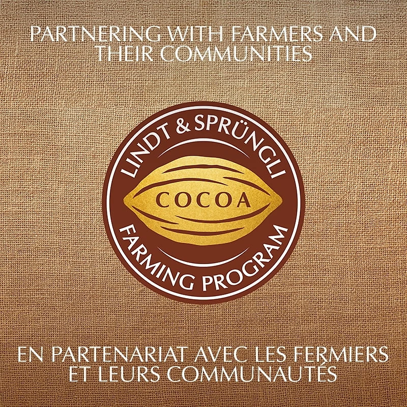 Chocolat noir Lindt EXCELLENCE à 70 % de cacao – Barre (100 g) 100 g