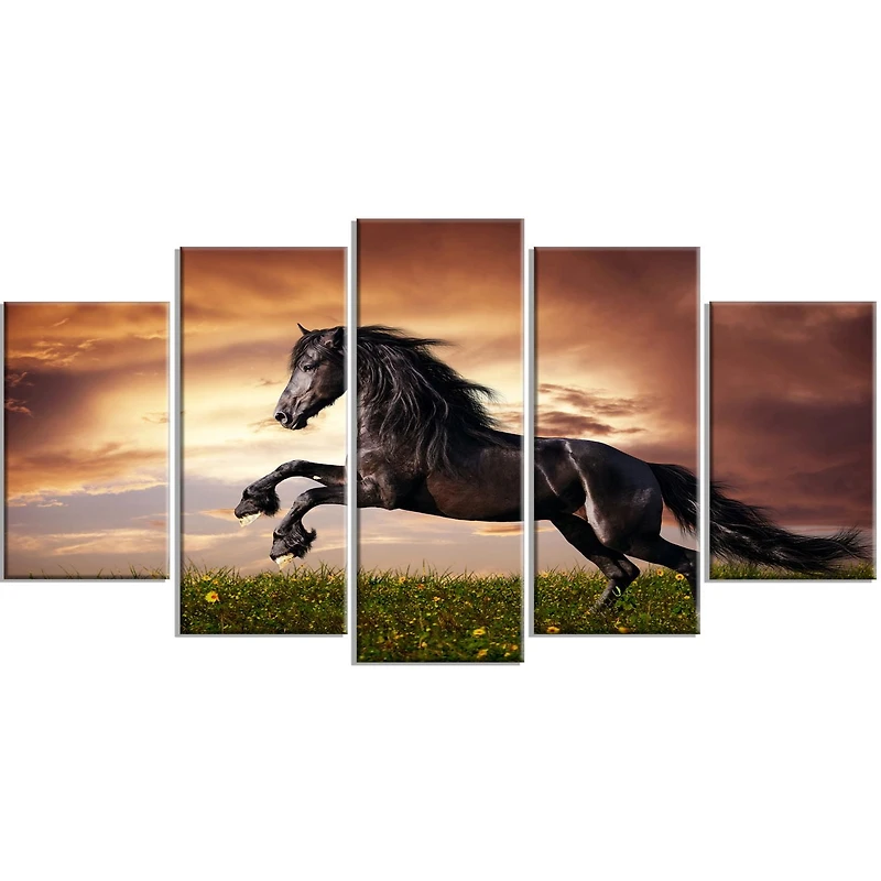 Design Art Black Friesian Horse Gallop Canvas Print