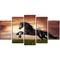 Design Art Black Friesian Horse Gallop Canvas Print