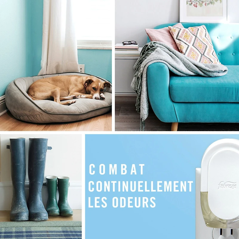 Assainisseur d’air à brancher Febreze, recharge d’huile parfumée qui combat les odeurs, parfum Pin et baies blanches, 4 recharges