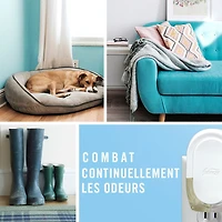 Assainisseur d’air à brancher Febreze, recharge d’huile parfumée qui combat les odeurs, parfum Pin et baies blanches, 4 recharges