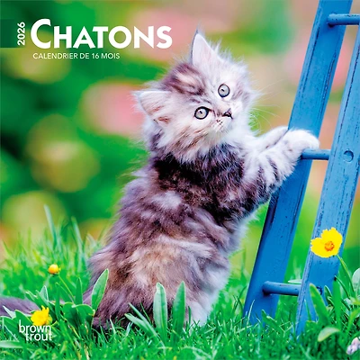 Chatons 2026 Mini 7x7 FRANÇAISE BTCA