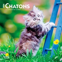 Chatons 2026 Mini 7x7 FRANÇAISE BTCA