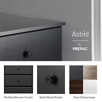 Prepac Astrid Black 6-Drawer Tall Chest