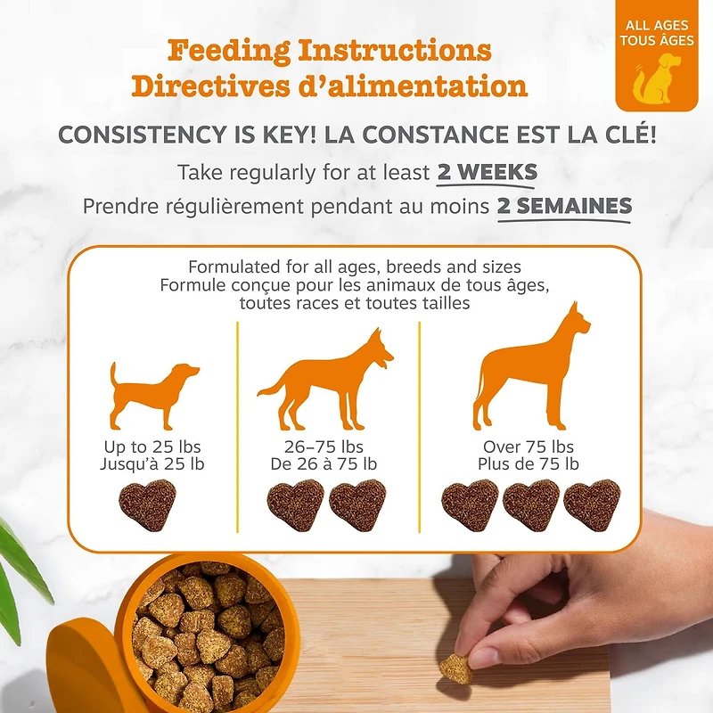 Zesty Paws Mâches Molles Probiotiques, Flore Intestinale et Complément Digestif pour Chiens, Saveur de Citrouille, 60 Pq 60 Mâches