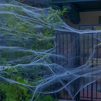 Way to Celebrate 1.5 oz White Spider Web with 6 Black Spiders