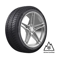 TRIANGLE WINTERX TW401 215/60R17 100V Tire