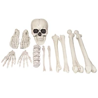 BAG OF BONE - 12PCS, 12PC FAUX BAG BONES