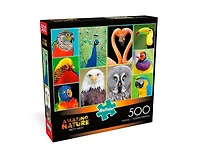 Buffalo Games Le puzzle Amazing Nature Pretty Birds en 500pièces