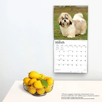 Shih Tzu | 2023 12x24 Inch Square Wall Calendar