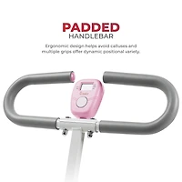 Sunny Health & Fitness Upright Row-N-Ride™ Exerciser in Pink – P2100