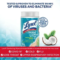 LYSOL® Lingettes Désinfectantes - Noix de Coco et Mineraux Marins 75ct
