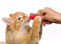 Delectables™ Tuna & Salmon Squeeze Up™ Cat Treats, 4 x 14g (4pk)