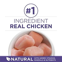 Purina ONE +Plus Contrôle des Boules de Poils Poulet, Nourriture Sèche pour Chats 3 kg NB-24M