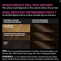 Olia Permanent Hair Dye Ammonia Free, 100% Grey Coverage, 1 pack