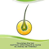 Vitamines pour la pousse des cheveux avec biotine Priorin – Vitamines pour les cheveux destinées à stimuler la pousse des cheveux chez les hommes et les femmes; réduit la perte de cheveux après le lav 60 capsules, 1 mois de traitement