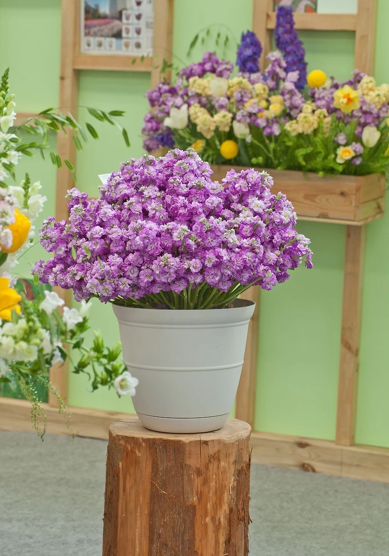 Hometrends Indoor Basic Bell Black, White and Grey Planter, Black Planter