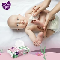 Parent’s Choice Fresh Scent Wipes, 400 Wipes