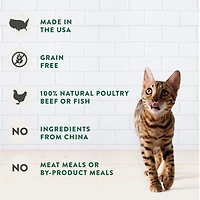 FRESHPET SELECT PLATS GRILLES RECETTE AU POULET ET BOEUF TENDRES POUR CHATS 454g