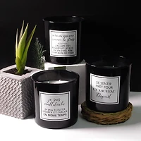 2-wick 12oz "I'm multitasking" FIREWOOD SPIRIT Fragranced Candle