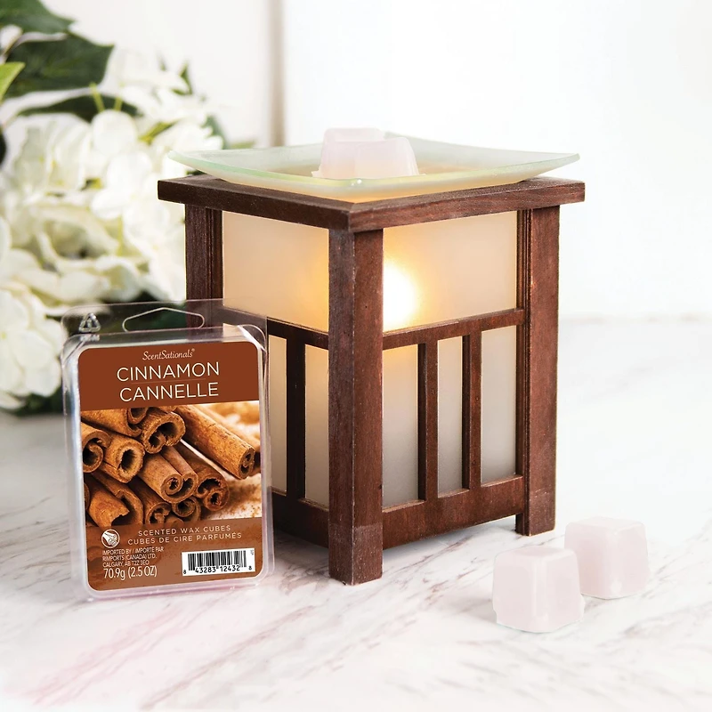 Cubes de cire parfumée ScentSationals - Cannelle 2,5 fois (70,9 g)