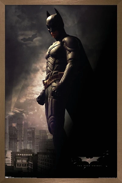 Film DC Comics - The Dark Knight - Batman dans l'ombre