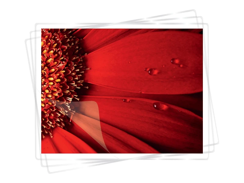 Fellowes® Super Quick Laminating Pouches, Letter, 5 mil, 100 pack