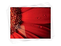 Fellowes® Super Quick Laminating Pouches, Letter, 5 mil, 100 pack