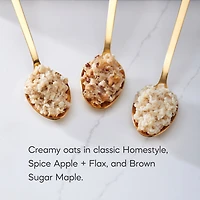 Nature's Path Gruau instantané sans gluten assortiment de saveurs 320G (8 Sachets)