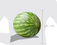 Watermelon, Mini Seedless