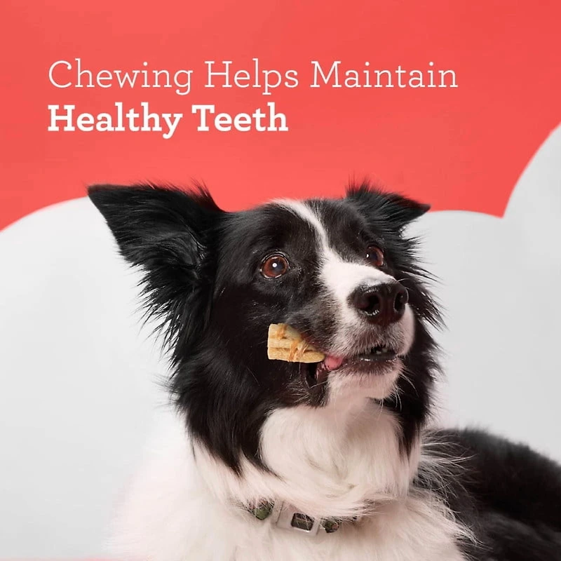 DreamBone Wavy Chips Wrapped with Chicken and Made with Real Peanut Butter Flavour, 5 Count, Treat Your Dog to a Delicious Rawhide-Free Chew, For All Dogs, DreamBone Chicken Wrapped Wavy Peanut Butter Chips 5ct, 75g