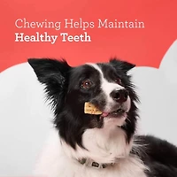 DreamBone Wavy Chips Wrapped with Chicken and Made with Real Peanut Butter Flavour, 5 Count, Treat Your Dog to a Delicious Rawhide-Free Chew, For All Dogs, DreamBone Chicken Wrapped Wavy Peanut Butter Chips 5ct, 75g