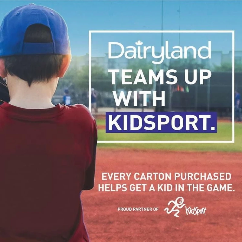 Dairyland Breuvage de lait à la fraise 1 % 1 litre